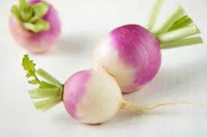 Fresh Turnip