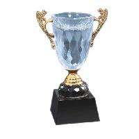 Crystal Trophy Cup