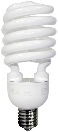 Compact Fluorescent Lamp