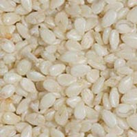 White Hulled Sesame Seeds