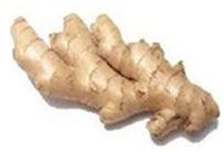 GINGER EXTRACT