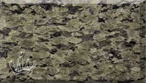 Raniwara Green Granite