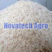 Swarna Rice