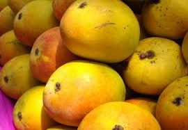 Alphonso Mangoes