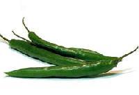 Green Chili