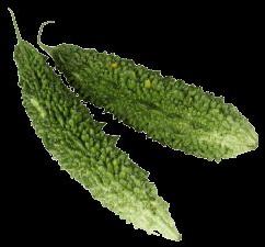 Karela