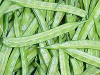 Guwar (Cluster beans)