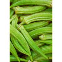 Okra