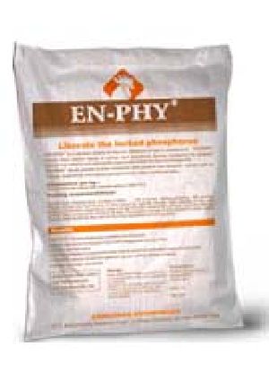 Phytase Enzyme Poultry Feed