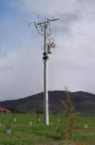 electric pole