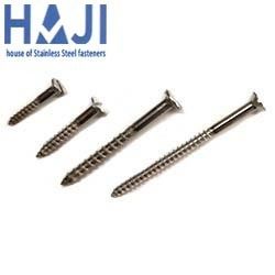 SS Coach Screw