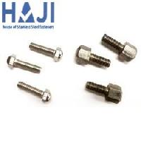 Stainless Steel Dome Head Bolt