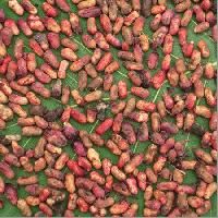 Jamun Seeds