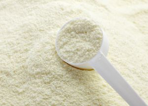 Skimmed Milk Powder