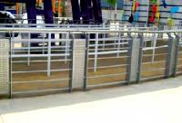 Stainless Steel Railing 07