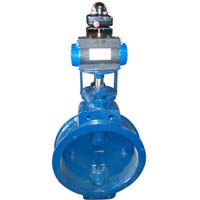 Butterfly Valves