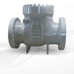 Swing Check Valve