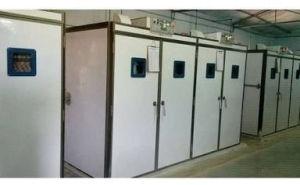 Poultry Incubators