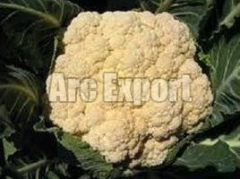 Fresh Cauliflower