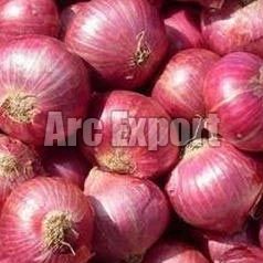 Fresh Red Onion