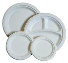 Disposable Plates