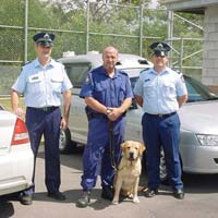 Dog Squad Services