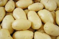 Fresh Potato (solanum Tuberosum)