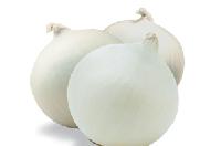 Onions (allium Cepa)