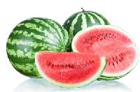 Watermelon (citrullus Vulgaris)