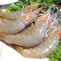 Frozen King Prawns