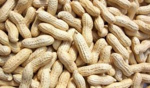 Shelled Groundnuts