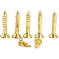 Brass Wood Screws