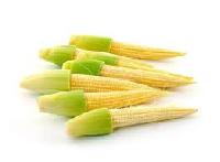 Fresh Baby Corn