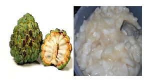 Custard Apple