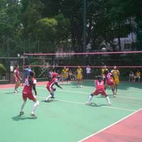 Volleyball Court Synthetic Flooring Surface Installation Services