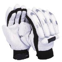 Cricket Gloves