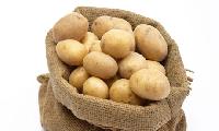 Potato Seeds