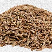 Cumin Seeds