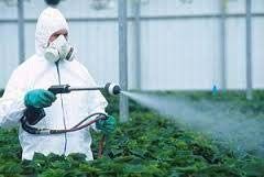 Chemical Pesticides