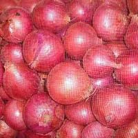 Fresh Onion