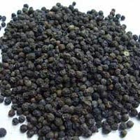 Black Pepper Seeds