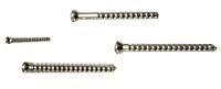 Cancellous Screws