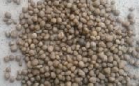 Diammonium Phosphate