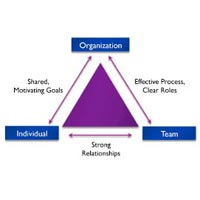 organizational development services