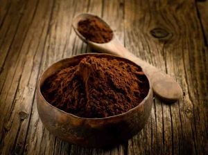 Ganoderma Lucidum Powder