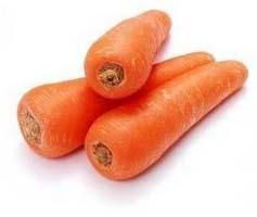 Fresh Carrot