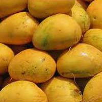 Fresh Banganapalle Mango