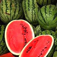 Fresh Watermelon