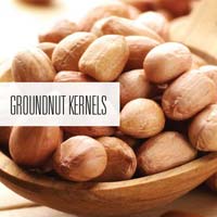 Groundnut Kernels