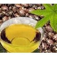 Castor Oil Derivatives